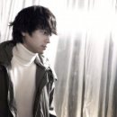 카멜리아 이미지