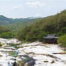 공감로하건축사사무소 | 정자 고을의 대학자는 왜 자신을 '일개 좀벌레'라 했을까