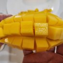 풍년마트 이미지