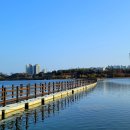 영랑호 북측 이미지