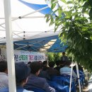 진도체리원 이미지