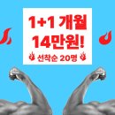 머슬서포트짐 삼봉점 이미지