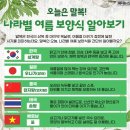 8월 9일(토) 오늘은 &#39;삼복&#39;중에서 마지막 복날 &#39;말복&#39;(末伏) 이미지