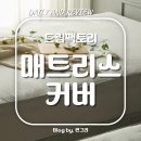 드림팩토리 | [매트리스 커버 추천] 드림팩토리 방수 매트리스 커버 사용 후기