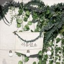 이유있소 이미지