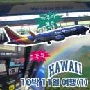 하와이 10박 11일 여행: 사우스웨스트 타고 마우이 공항 / 쓰리프트 랜터카/ 코스트코 주유 방법