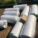 세실유치원 이미지