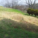 오가면010 이미지