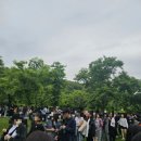 도킹치킨 | 2025 피크페스티벌 PEAK Festival 후기 -0524/토요일