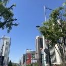 창경호텔 | [추천] 서울쥐의 서울시티투어 버스 관람기 (평일: 주중권)