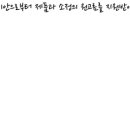 사바비안화장품 이미지