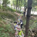 [7월 3주] 숲활동🌳&amp; 물고기 만들기🐟 &amp; 썬 캐쳐☂️ &amp; 독서왕👑 이미지