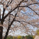 CU분당정자점 이미지