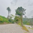 다올 오토캠핑장 이미지