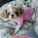 설악동물병원 이미지