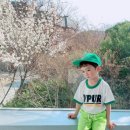 더그레이 이미지