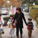 용인대일월태권도장 이미지