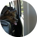 몽드드뚜뚜 이미지