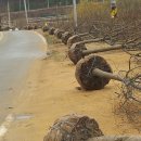 동산1길 이미지