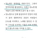 리박사 이미지