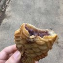 굴화스크린 이미지