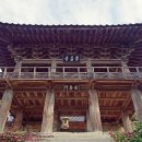 녹색농심인삼마을 이미지