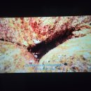 블루 여관 이미지