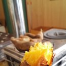 삼시한끼고구마 이미지