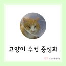 다정한 동물병원 이미지