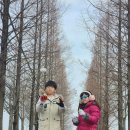 수목농장 | 피나클랜드 겨울 체험 후기 ❄️ 아이들과 함께한 눈놀이 &amp; 먹거리 체험