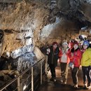 정기목장 이미지