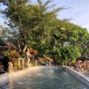 온천농장 | [발리 여행 Ch.2-2] 발리 루왁커피 제조 농장&amp;바뚜르 자연 온천 후기