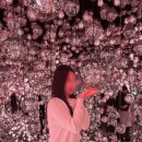 관광안내전시관 | 일본 새댁 일상 DAY. 7 | 도쿄 관광 볼거리 스폿 '팀랩 보더리스' 전시관 방문 후기