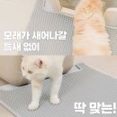 주식회사 호랑이 이미지