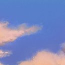 스시반점 이미지