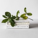 청구어린이집 이미지