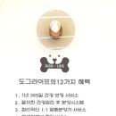 도그라이프 대구강아지분양 이미지