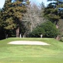 (주)코로아 | 타우랑가 5개 골프장 라운딩 후기