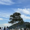 매미성 주차장 이미지