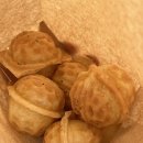 양주 덕정역 카페 붕어빵 간식 맛집 :: 카페 미호 MIHO