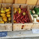 슈처마켓 이미지