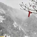 "한라산" / 눈보라 치는 한라, 그 속에서도 아름다움은 있다. 이미지