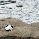 아야진약국 이미지