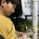 다이소전주하가점 이미지