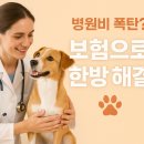 반려동물 병원비 걱정 끝! 2025 최신 통계로 보는 펫 보험 완전 가이드