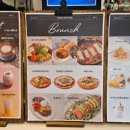 뷰-라인 이미지