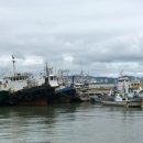 (주)경기화학약품상사 이미지