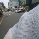 화원세탁빨래방 | 크린토피아 코인 세탁 한 번 해봤습니다 -초파리와의 대전쟁 그 서막