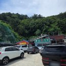 울진물회 | 울진 로컬맛집 물회맛집 울산회식당 주차 후기 잡어 물회 최강 맛집