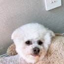 조타 생활과학연구소 이미지